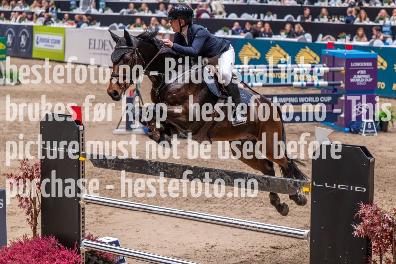 20231013-222509-DSC_8615