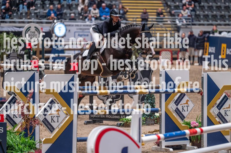 20231013-223159-DSC_8743