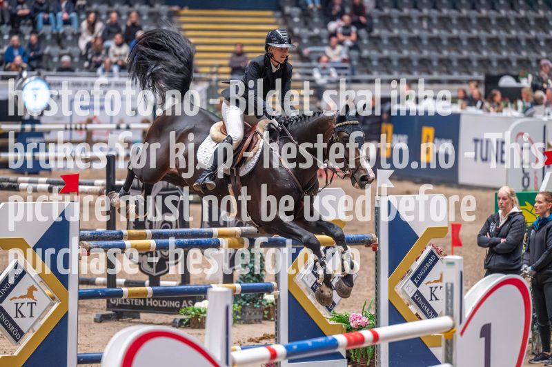 20231013-223200-DSC_8746