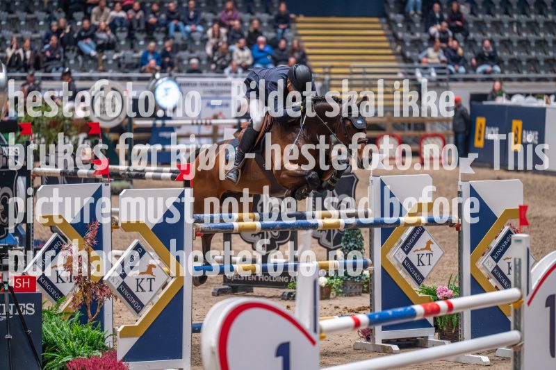 20231013-224106-DSC_8919