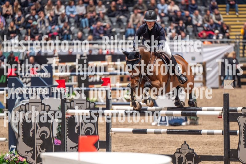 20231014-214644-104N-DSC_5731