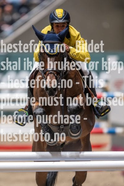 20231014-211259-218N-DSC_1430