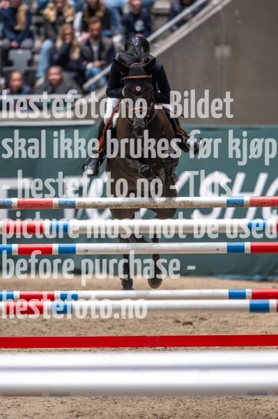 20231014-211936-218N-DSC_1848