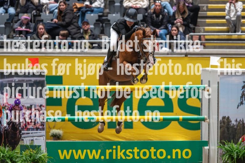 20231014-213325-218N-DSC_2262