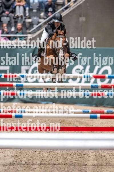 20231014-213420-218N-DSC_2349