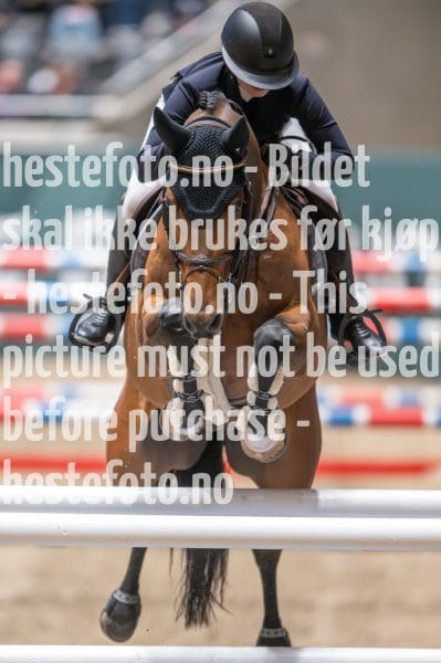 20231014-214724-218N-DSC_3285