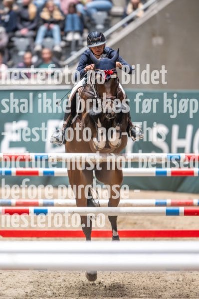 20231014-215201-218N-DSC_3554