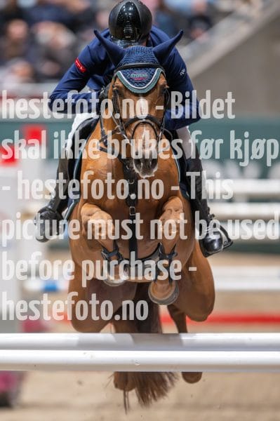 20231014-220230-218N-DSC_4339