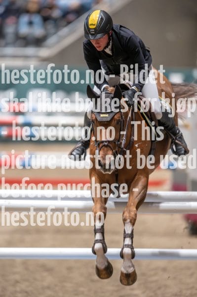 20231014-220920-218N-DSC_4782