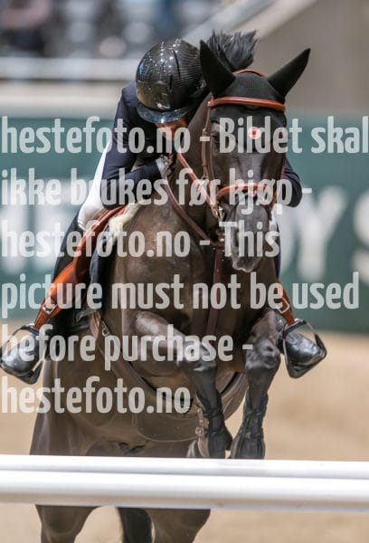 20231014-222906-219N-DSC_5303