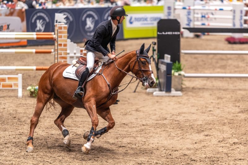 20231014-211714-DSC4991