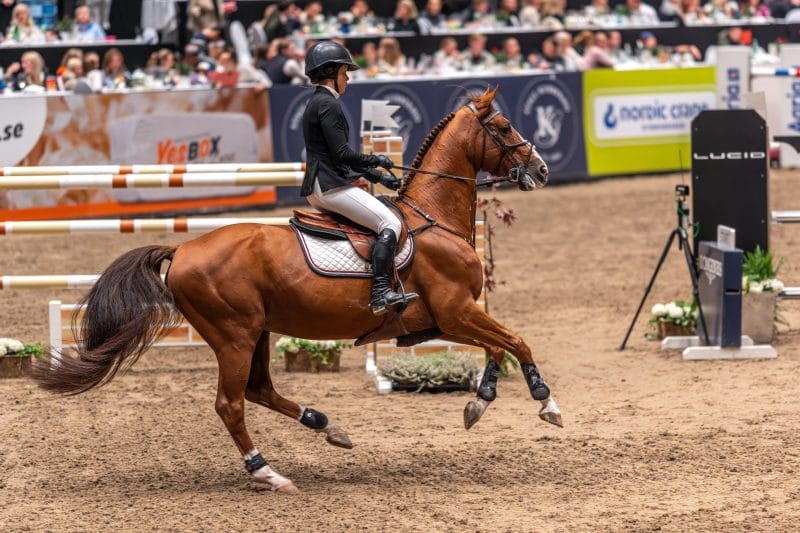 20231014-213312-DSC5148