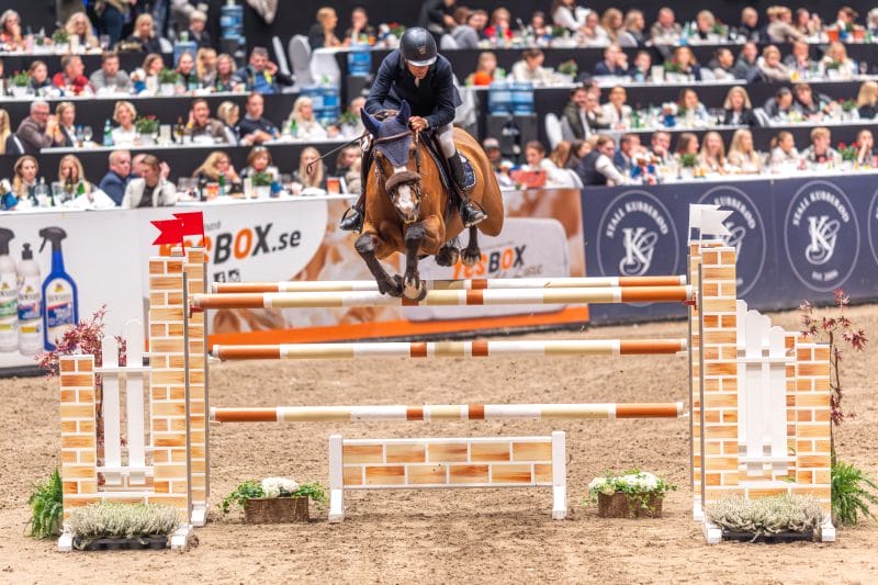 20231014-213822-DSC5233