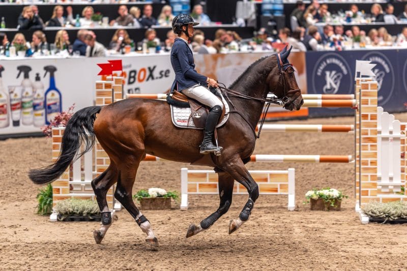 20231014-215048-DSC5463