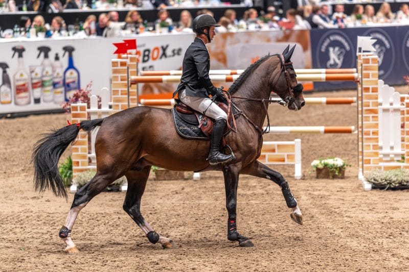 20231014-214834-DSC5428