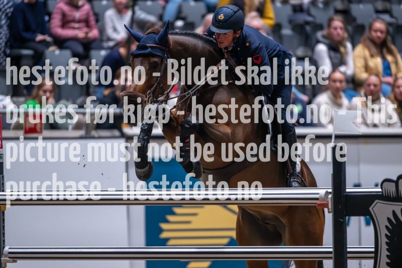 20231015-162957-221N-DSC_7513