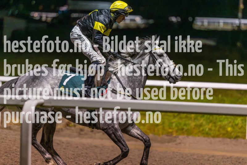 20231109-205028-DSC_9630