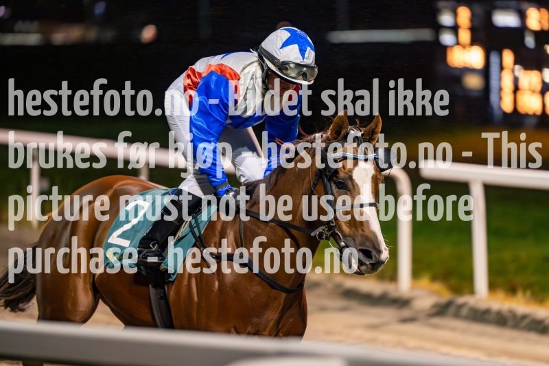 20231109-194901-DSC_6173