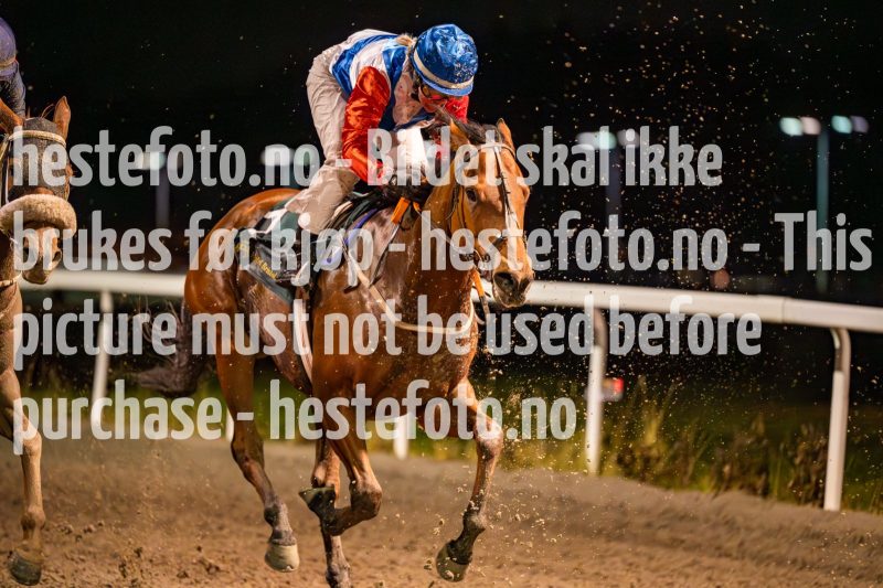 20231109-203523-DSC_6440