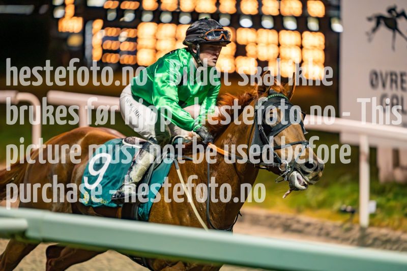 20231109-205136-DSC_6528