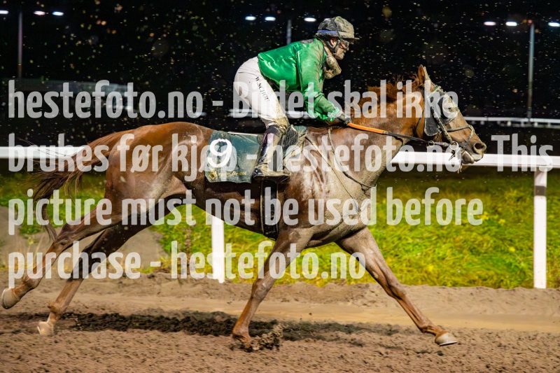 20231109-205907-DSC_6601