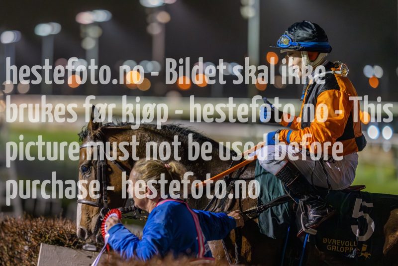 20231109-193816-DSC_8817