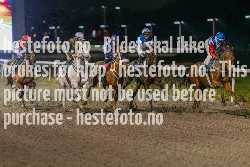 20231109-203327-DSC_9438