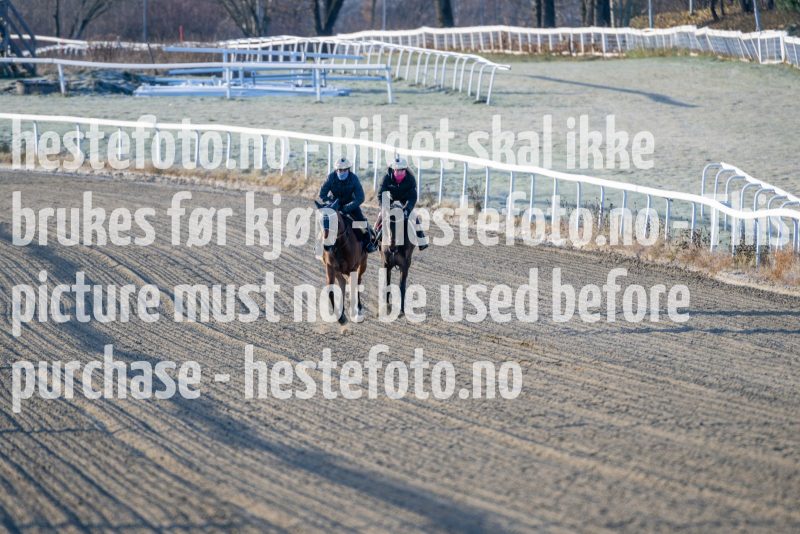 20231118-114648-DSC_6982