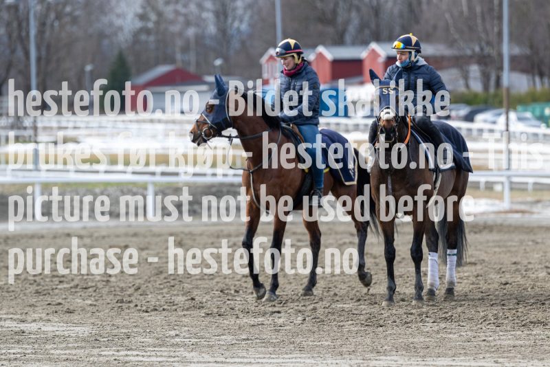 20240309-125121-DSC9431