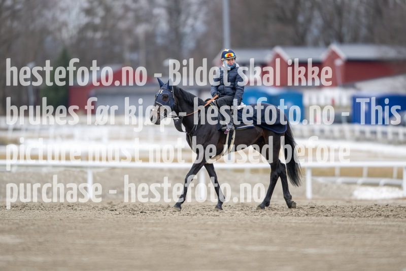 20240309-105530-DSC_0102