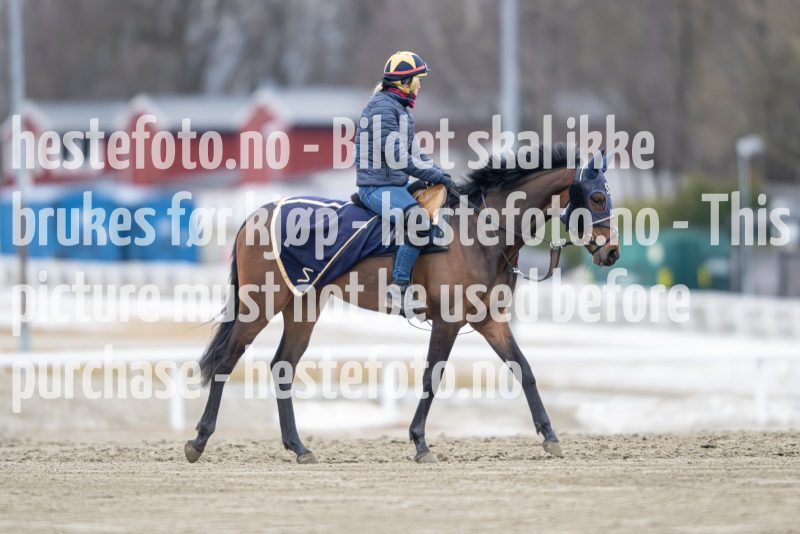 20240309-094945-DSC_9531