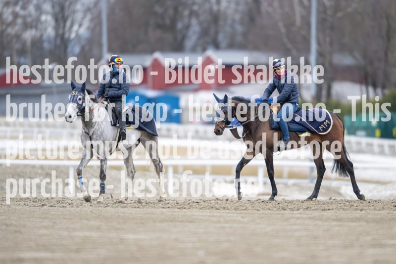 20240309-094930-DSC_9498