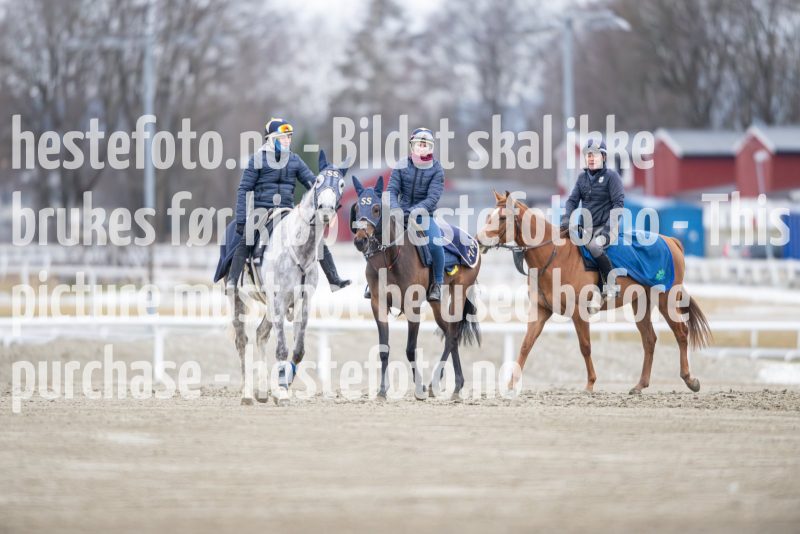 20240309-095022-DSC_9584