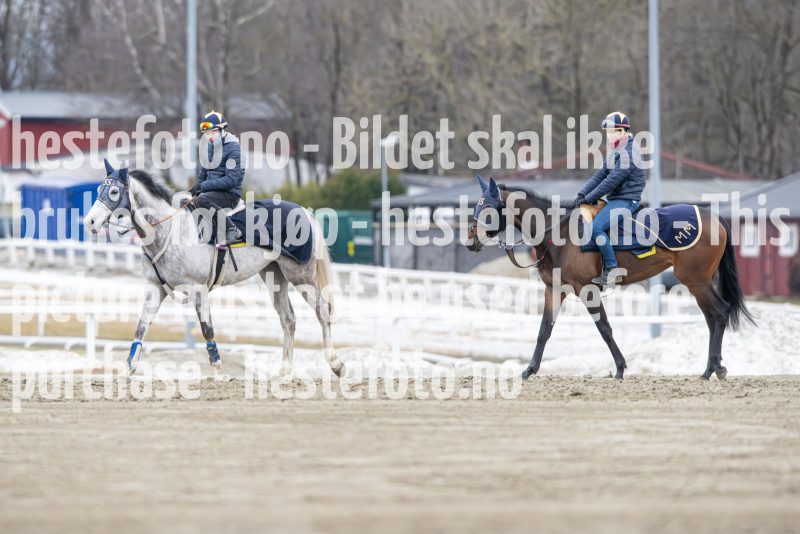 20240309-095053-DSC_9640