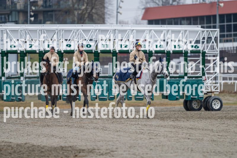 20240413-084154-DSC_0464