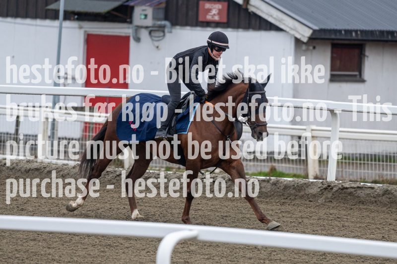 20240413-092413-DSC_1011