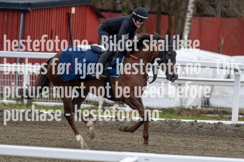 20240413-092415-DSC_1021