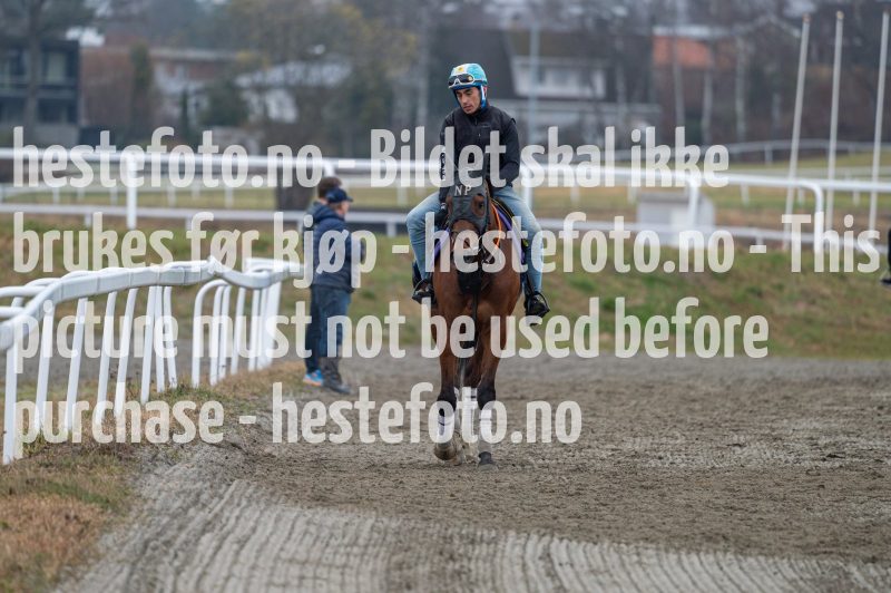 20240413-095613-DSC_1524