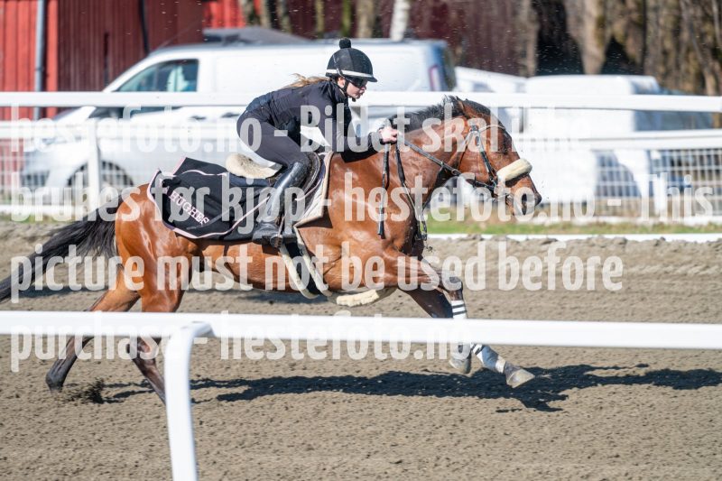 20240413-112300-DSC_2254