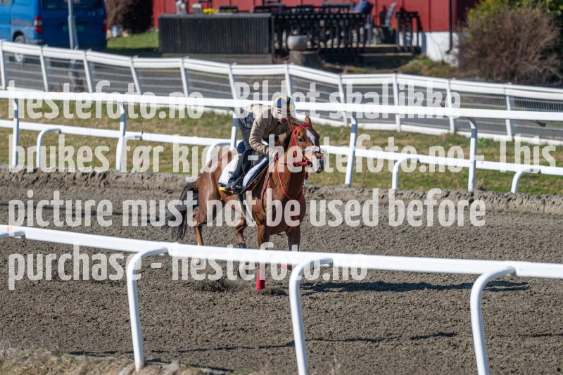 20240413-114717-DSC_2446