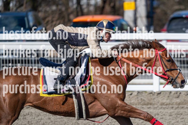 20240413-114721-DSC_2488