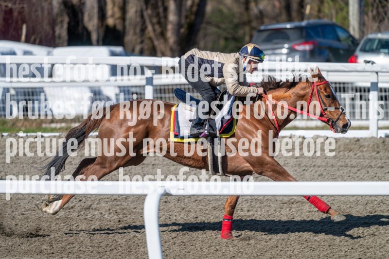20240413-114720-DSC_2484