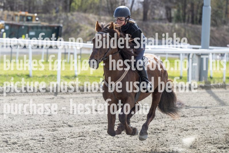 20240427-135241-DSC_5106