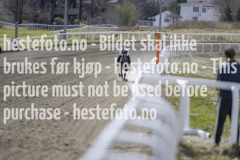 20240427-133306-DSC_8094