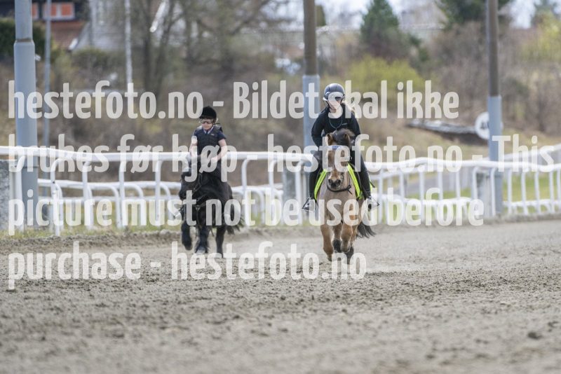20240427-134104-DSC_8478