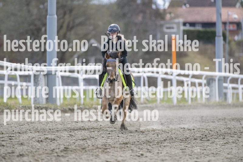 20240427-134109-DSC_8502