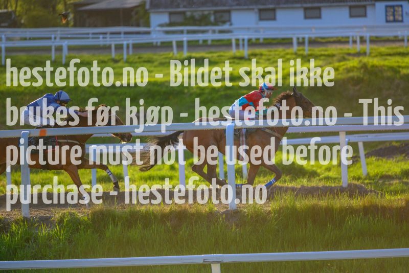 20210522-201458-DSC1624