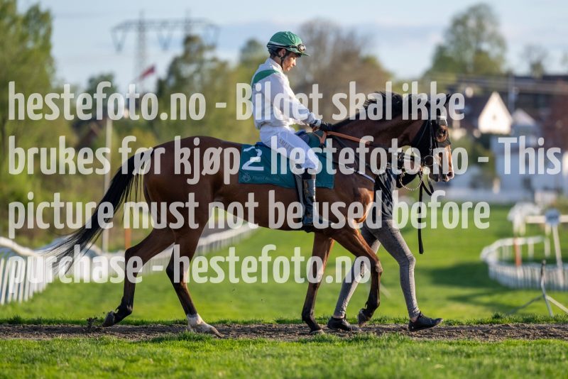 20240509-201609-DSC2799