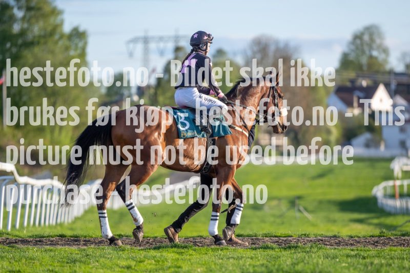 20240509-201618-DSC2805