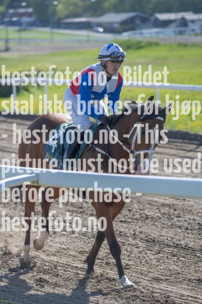 20240517-171322-DSC3992